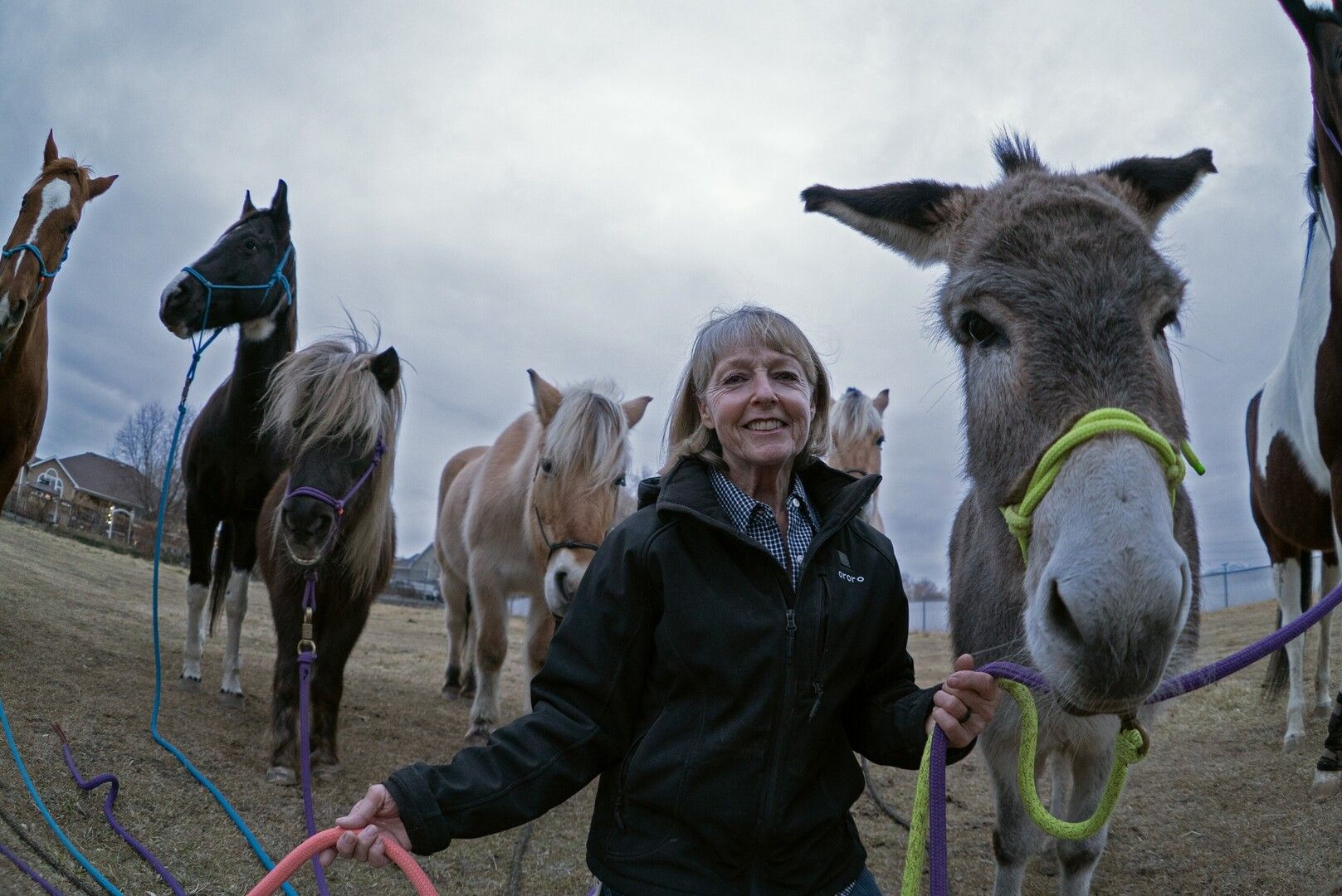 Jolene Green therapist